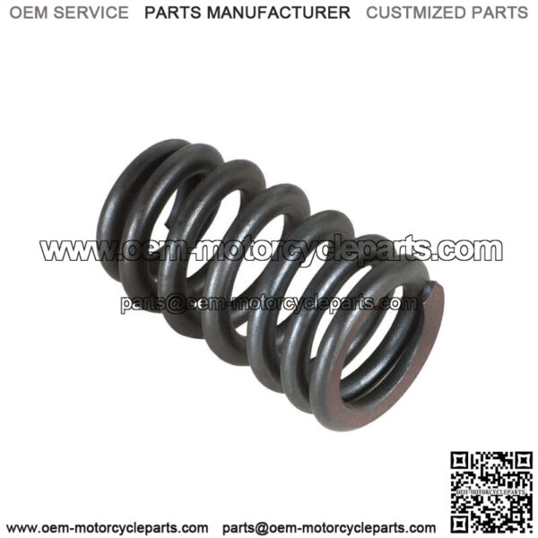 For Stage 4 LS Truck Cam Kit & Chromoly Pushrods - Image 4