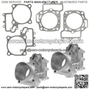Front Rear Cylinder w/ Gaskets fits Kawasaki Brute Force 750 KVF750 4X4i 2005-11