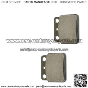 Rear Brake Pads for Arctic Cat DVX 400 Tony Stewart Edition 2006-2007 / 3406-075