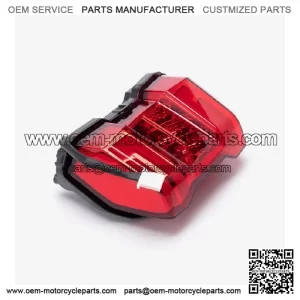 Tail Light Assembly for Loncin LX650-2C,Voge 650DSX Euro 5 LX650-2C-E5 CMPO LED