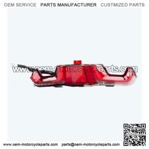 Tail Light Assembly LED for Loncin LX500-K,Voge 500DSX Euro 5 LX500-K-E5 CMPO