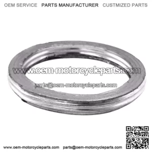 Exhaust gasket ODES 800 21040400101