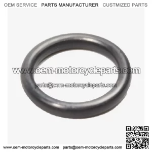 Scooter O-Ring for Lexmoto D2 E55, XDV 125 E55, Loncin , Voge 500DSX Euro 5 NEW