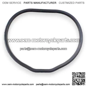 Oring throttle body intake manifold SFA 1000