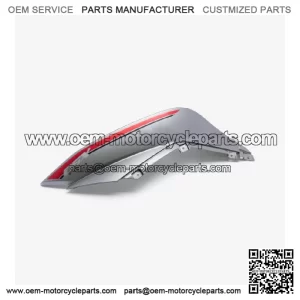 Left Fuel Tank Panel grey for Loncin LX500-K,Voge 500DSX Euro 5 LX500-K-E5 CMPO