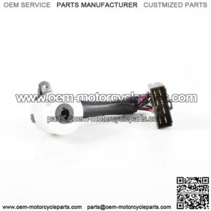 LONG CHICOTE CONTACT PLATE - 84450-12150