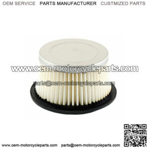 Raisman Air Filter Compatible with Tecumseh 30727 / John Deere AM30900 / Lesco 0