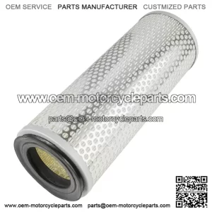 Gravely PM320/PM152M/PM148M/PM144M/PM160XDZ Air Filter - 21536900 21537000