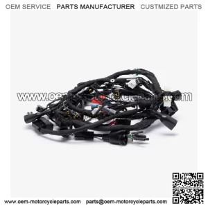 Wiring Loom for LX650-2C-E5 for Loncin LX650-2C,Voge 650DSX Euro 5 LX650-2C-E5