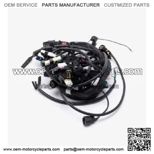 Wiring Loom for LX500-N-E5 for Loncin LX500-N,Voge 500AC Euro 5 LX500-N-E5 CMPO