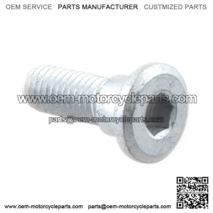 Motorcycle Rear Brake Disc Bolt M8 x 25mm for Lexmoto, Loncin, Mitt, Taro, Voge