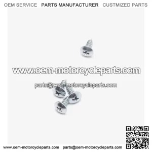 Speedo Assembly Bracket Screw for LX650-2C-E5 for Loncin , Voge 650DSX Euro 5