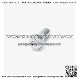 Banjo Bolt for LX650-2C-E5 for Loncin LX650-2C,Voge 650DSX Euro 5 LX650-2C-E5