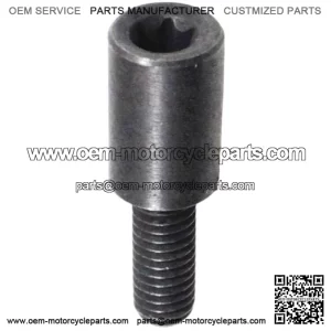 Bolt, Pin of the Movable Timing Chain Slider SFA 1000