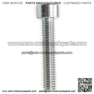 Screw M6x30mm B0205060306H
