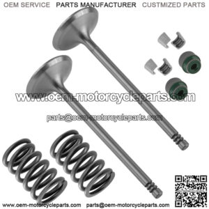 2x Intake Valve Kit for Can-Am CanAm Renegade 570 2016 2017 2018 2019 2020-2022 (For: Can-Am)