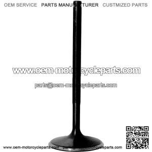 Intake valve SFA 1000