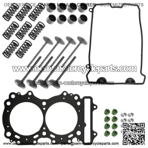 Arctic Cat ZR 5000 2014-17/Bearcat 5000 XT 2015 Intake & Exhaust Valve Kit