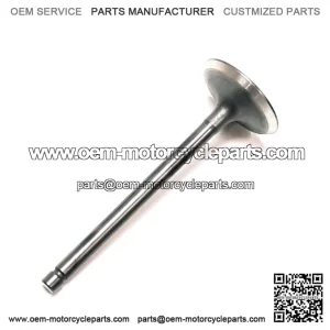 Intake valve LINHAI 260 300 22601
