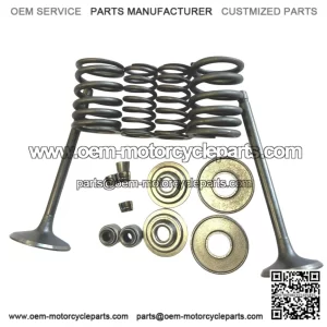 Valve set LINHAI 260 300 22601 22602 22603 22604 22605 22607