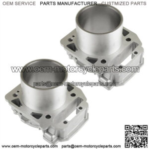 2 Cylinder fits Can-am Renegade 800R 4x4 EFI 2011 2012 2013 2014 2015 (For: Can-Am)