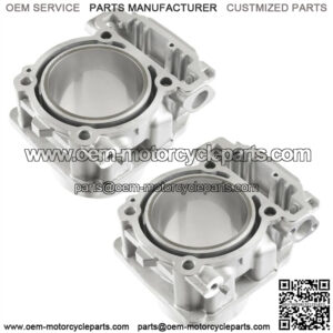 Front Rear Cylinder for Can-am Renegade 1000 T3 2018 2019 2020 (Only (T) models)