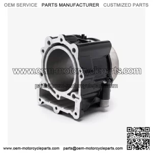 Cylinder for LX650-2C-E5 for Loncin LX650-2C,Voge 650DSX Euro 5 LX650-2C-E5 NEW