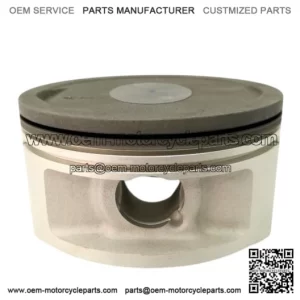 Piston LINHAI 700 71887