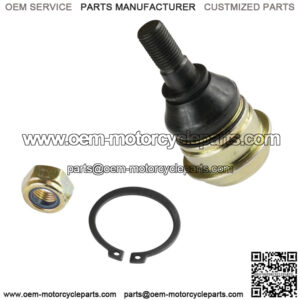 Import placeholder for 771