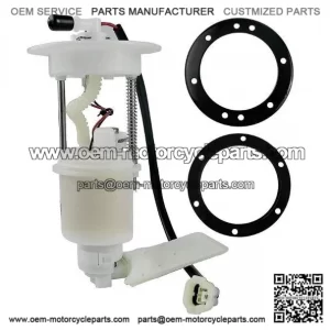 Fuel Pump CFMOTO 450 500 550 901F-150900-10000