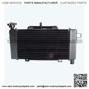 Radiator for LX500-J-E5 for Loncin LX500-J,Voge 500DS Euro 5 LX500-J-E5 CMPO
