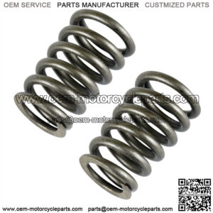 2X Valve Springs For CanAm 420239292 (For: Can-Am)