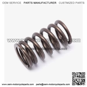 Valve Spring for LX650-2C-E5 for Loncin LX650-2C,Voge 650DSX Euro 5 LX650-2C-E5