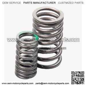 Scooter Valve Spring Set for Loncin LX500-K,Voge 500DSX Euro 5 LX500-K-E5 CMPO