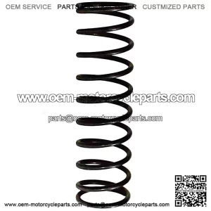 Oil Pressure Relief Valve Spring SFA 1000