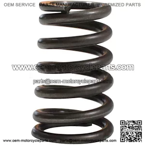 Valve Spring SFA 1000