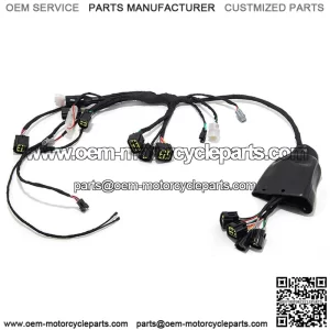 Dirt eBike Wiring Harness Assy for Sur-ron Light Bee X / Segway X160 X260