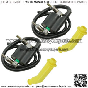 30510-HL5-A01 30510HL5A01 30700-MBN-671 Ignition Coil And Cap For Honda