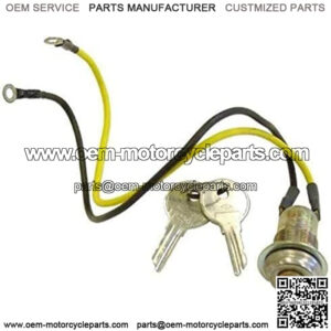 Ignition Key Switch for Ford Tractor 9N 2N 8N NAA Jubilee 501 600 601 700 701 800 801 900 901 1801 2000 4000 1939-1964 8N3679C