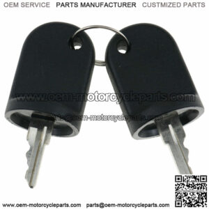2 Pcs EZGO Golf Cart Ignition Keys 611282 for 2008-Up RXV Gas / Electric Model