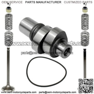 Camshaft and Cylinder Intake Exhaust Valve Kit Fits Kawasaki Bayou 250 KLF250A
