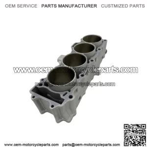 ENGINE CYLINDER 11005-0630 FOR KAWASAKI