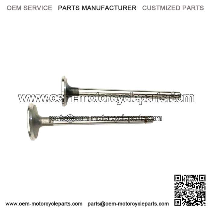 Master Rebuild Kit For 12HP Kohler K301 With Standard Piston And Rod And Valves - Image 3