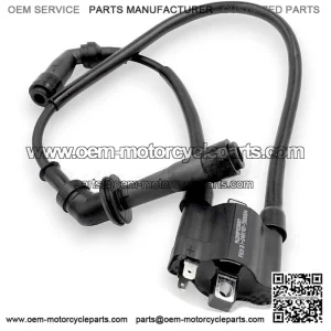 IGNITION COIL 01 SVT650 SVT650X