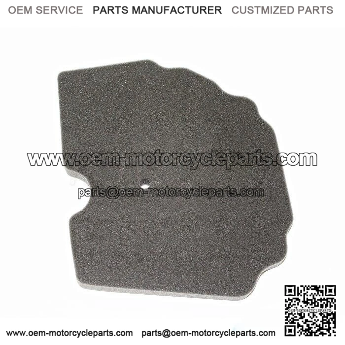 SRT550X AIR FILTER