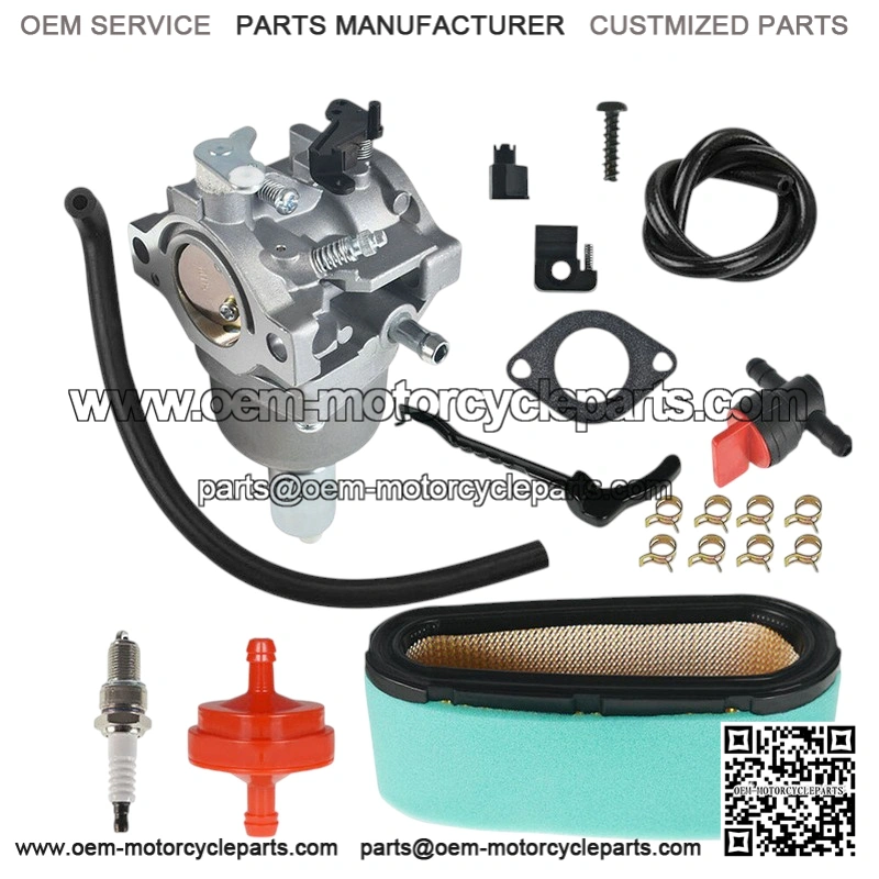Carburetor Replaces 799727, 698620, 791886, 690194, 792768 & Fits 499153