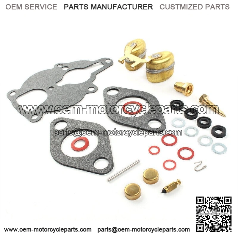 Carburetor Kit and Float for Zenith Wisconsin Engine VH4D VHD TJD Replaces LQ39