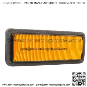 AIR FILTER SRT800S SRT800SX SRT900S SRT900SX
