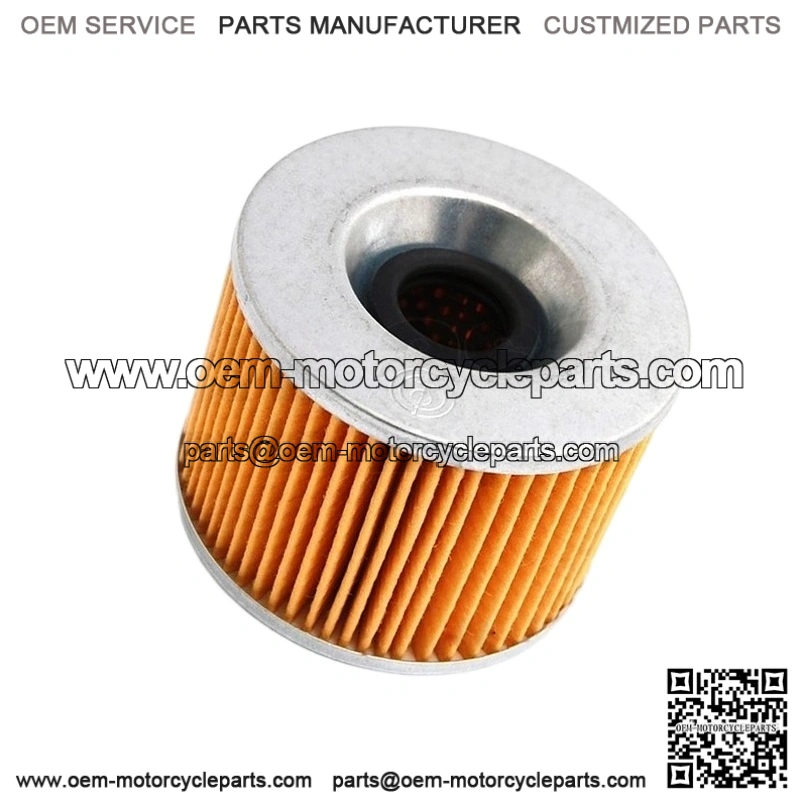 OIL FILTER fits many models 1974-2012 - 16099-003