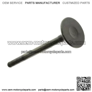 Exhaust Valve 4GL-12121-01-00 for 2000-2007 Yamaha TT-R90 TT-R TTR 90 E